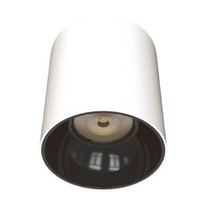 IP65 yüzeye monte Led aşağı ışık su geçirmez Led tavan lambası 10W 15W 20W 30W 40W 60W 100W tavan LED COB Downlight - Product Image 1