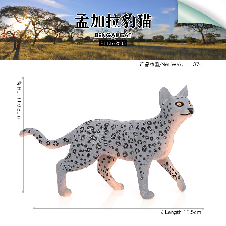 2503 Gatto del Bengala