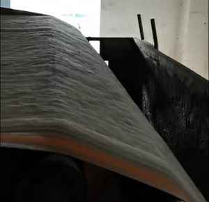 حزام فلتر لإزالة الكبريت من الفراغ حزام مخلفات الجبسم قماش شبكة تصريف جافة - Product Image 6