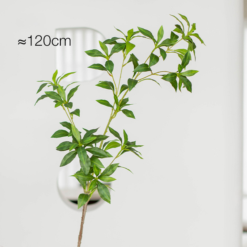 120cm(47.24in)