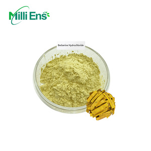 Prezzo di fabbrica estratto di erbe berberina cloridrato in polvere estratto di berberina corteccia Phellodendri estratto - Product Image 3