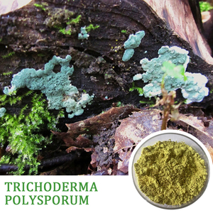 Hiệu quả cao 10-200 tỷ CFU/G <span class=keywords><strong>Trichoderma</strong></span> polysporum bột - Product Image 6