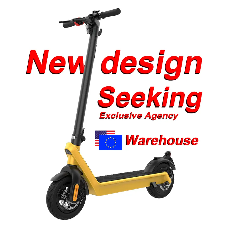 Motor 800W City High Speed Electrica Sale Store Off Road E scooter 10 Inch Large Wheel Electric Mobility Scooter