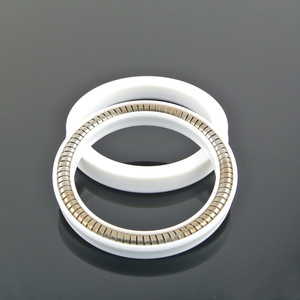 נירוסטה האביב שונה pin <span class=keywords><strong>ptfe</strong></span> חותם מופע גבוה חותמות עבור פיר