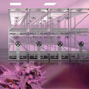 Reinfa Aero dọc hệ thống bền vững, đất trồng trọt miễn phí cho sôi động, dinh dưỡng dày đặc sương microgreens - Product Image 1