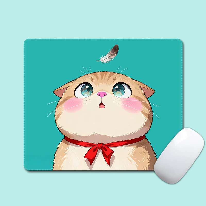 Chat potelé 1080