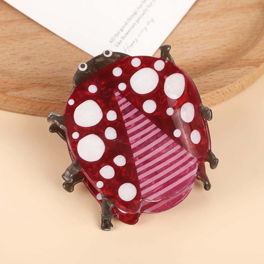 Coccinella septempunttata