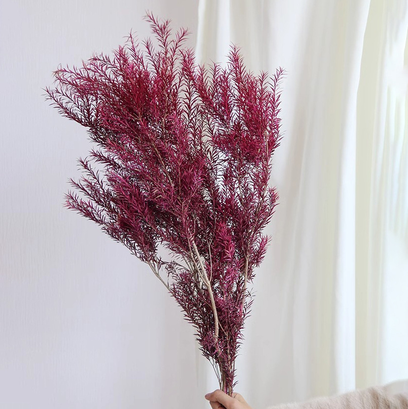 Rosa rossa