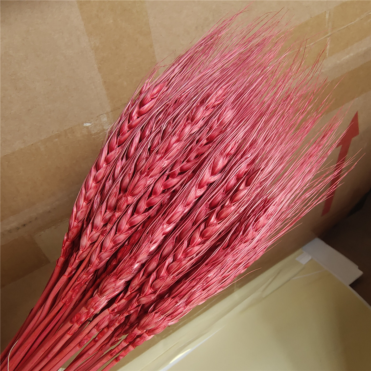 สีแดง