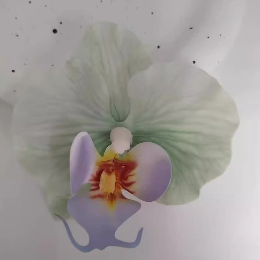 Green hem phalaenopsis shoe buckle-plastic buckle