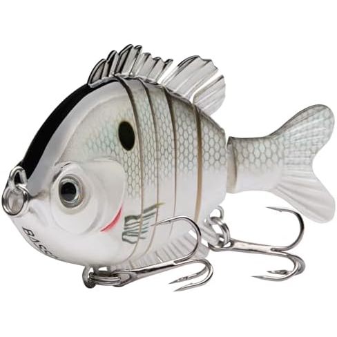 Shad blanc