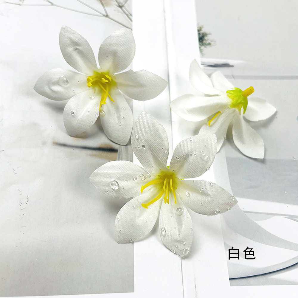 Blanco
