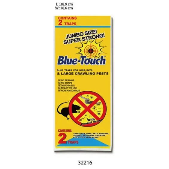 A colagem azul do rato do controle da praga do agregado familiar do toque trava a armadilha adesiva para os ratos no cartão