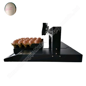 Chargen code Stempeln Datum Codierung Gerät Chargen code Tinten strahl drucker Für Ei Ei Stempeln Inkjet Markierung maschine - Product Image 6
