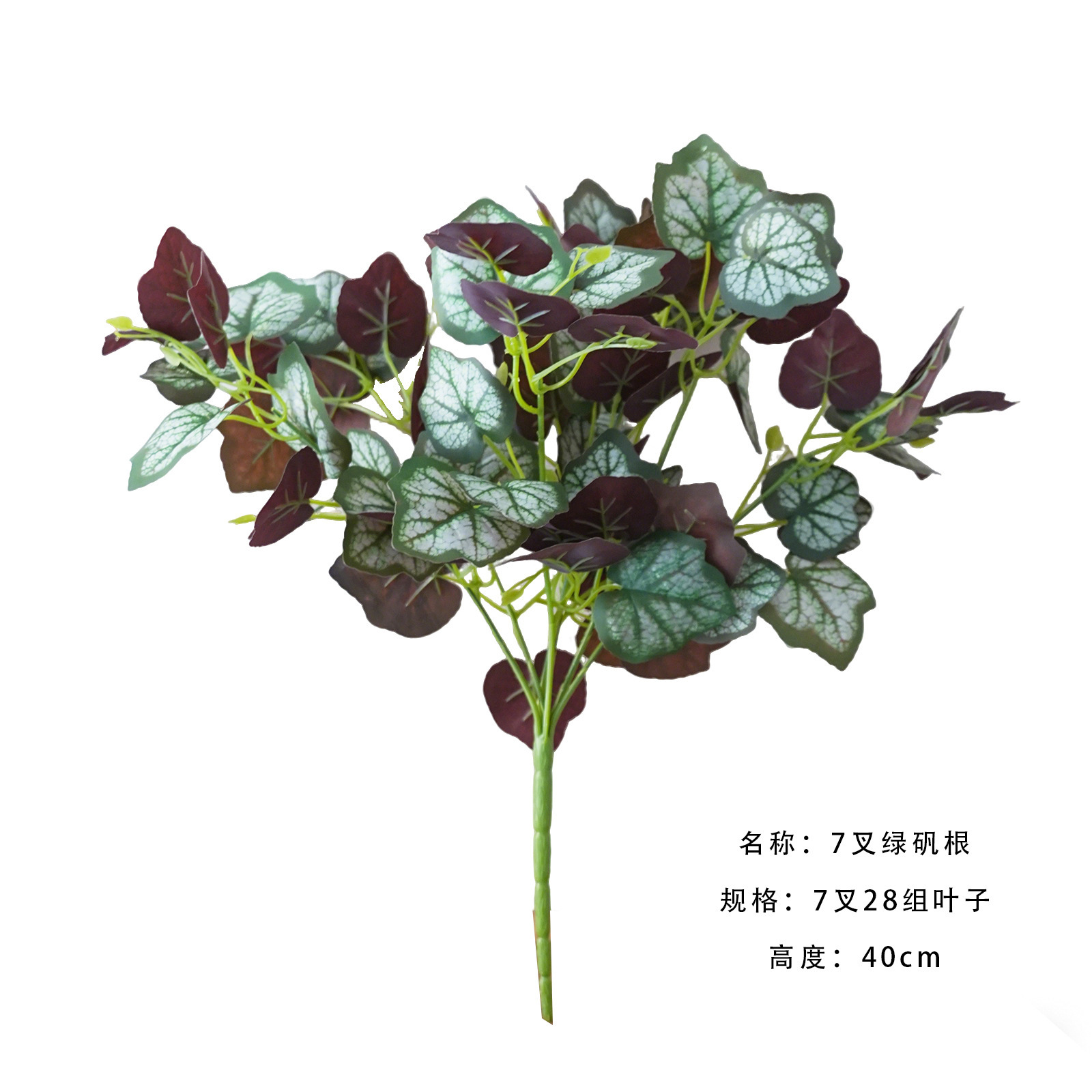 7 fork green alum root a branch