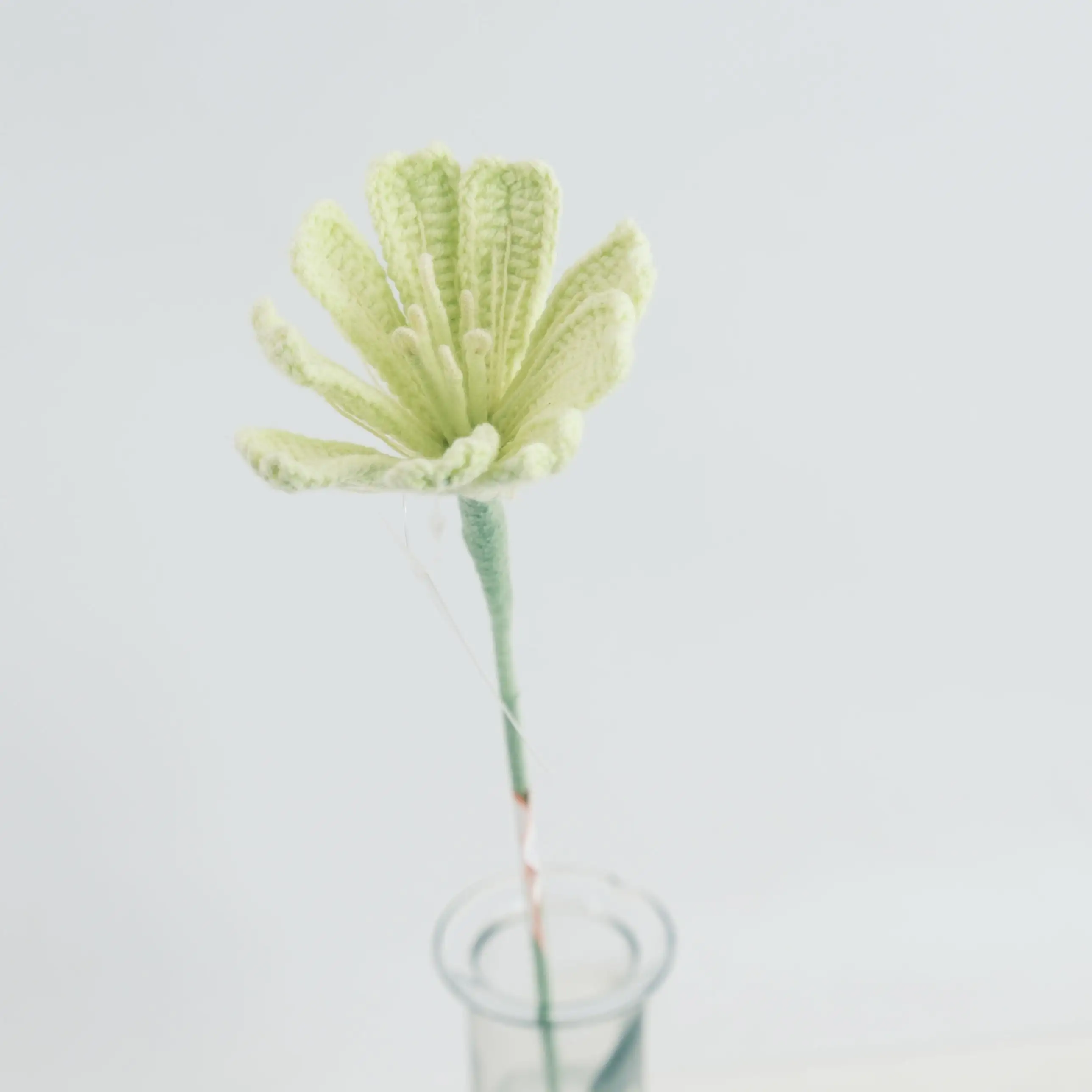 Anneler günü hediye süslemeleri el yapımı Mini saksı bitki tığ Diy çiçek bitmiş ürün