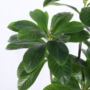 Trang trí nội thất tốt nhất 6 chân gần như tự nhiên Faux nhỏ trong chậu màu xanh lá cây loquat cây nhân tạo Bonsai giả loquat cây - Product Image 4