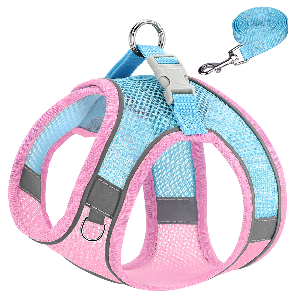 Pink with blue