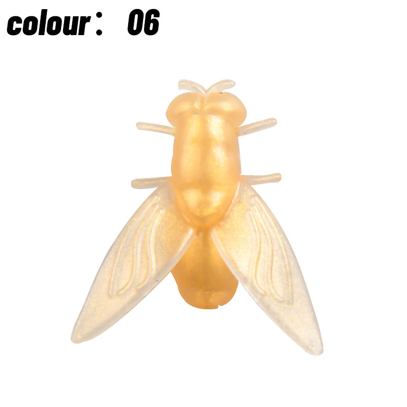 N°06