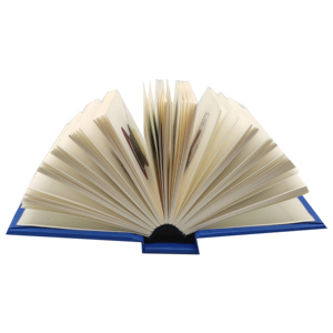 มินิหนังสือเล็กๆน้อยๆการพิมพ์หนังสือตัวเลขที่กำหนดเองพลิกหนังสือสำหรับร่างการ์ตูนสร้างที่กำหนดเอง