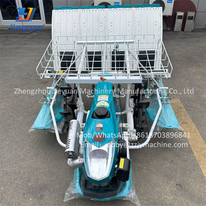 Pirinç dikim makinesi pirinç ekici çeltik dikim makinesi pirinç fidesi dikme makinesi makine fiyatı - Product Image 2