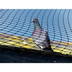 鳥を捕まえるための効果的な鳥トラップネット抗鳥プラスチックメッシュネット