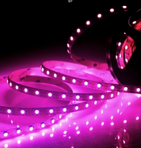 景観照明高輝度LC8813 WS2813 WS 2812B Smd 5050ストリップライト72D LEDフレキシブルストリップLEDストリップライト5V - Product Image 1