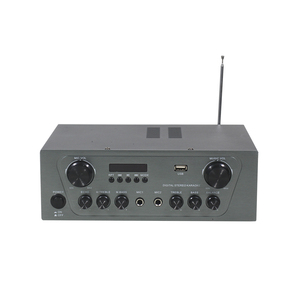 迷你放大器2通道蓝牙立体声放大器接收器，带FM收音机用于家庭和小型商业应用