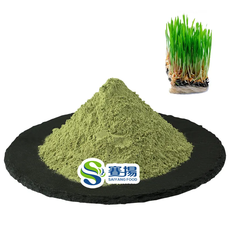 Poudre d'herbe de blé Supplément nutritionnel de qualité alimentaire Poudre d'herbe de blé vert Poudre de jus d'herbe de blé