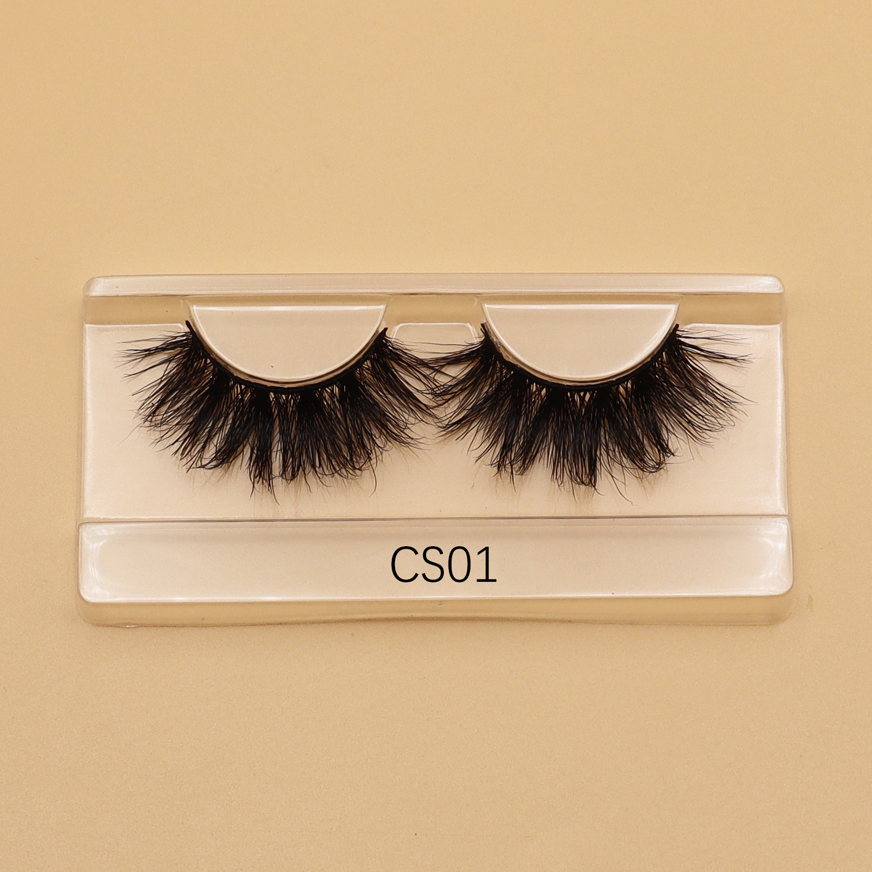 CS01