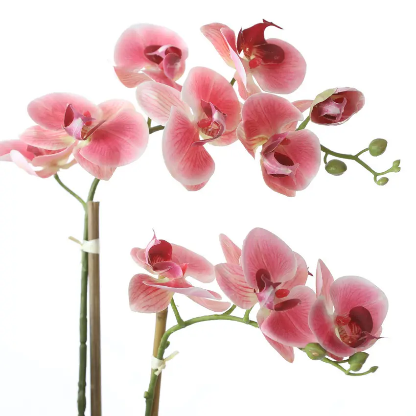 Real Touch Orchid Flower with Pot Show Room Decor Artificial Flowers for Decoration Hot Sale Classic White Pink and Blue 2pcs XF