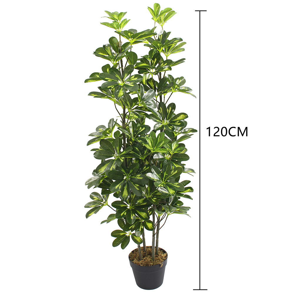 120CM