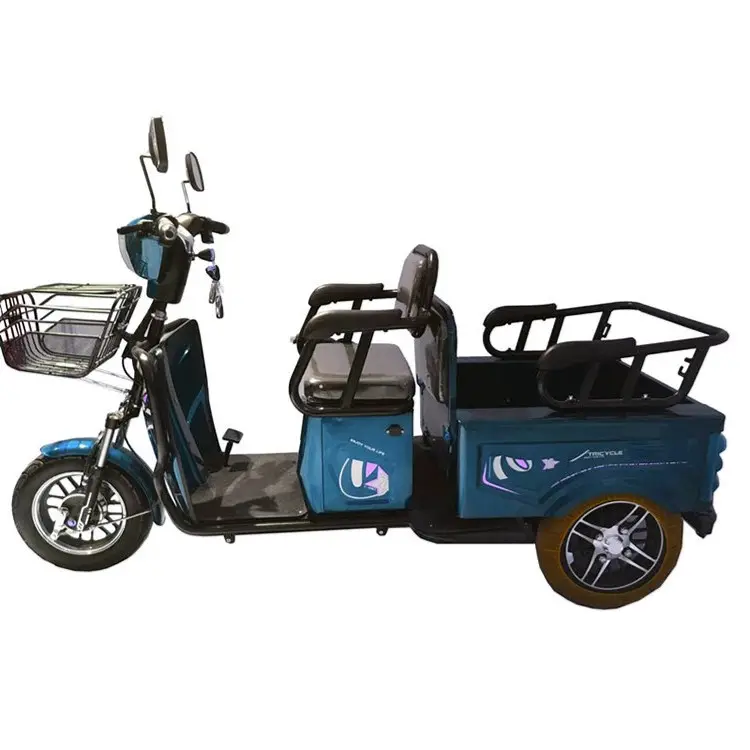 Classical Electric Tricycle500/1000W電動スクーター貨物自転車レジャーショッピング車LANDAOエンターテイメントOEMメーカー