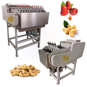 Full Automatic Cashew Nut Grading <strong>Sorting</strong> Boiling <strong>Shell</strong> Breaking Peeling Shelling Processing <strong>Machine</strong> - Product Image 4