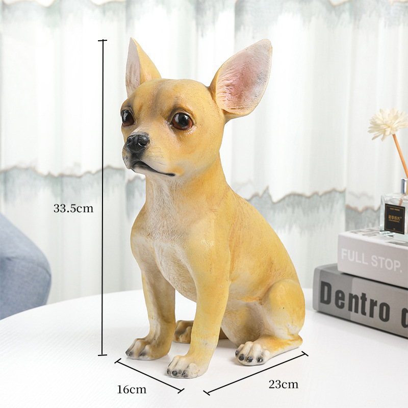 Chihuahua