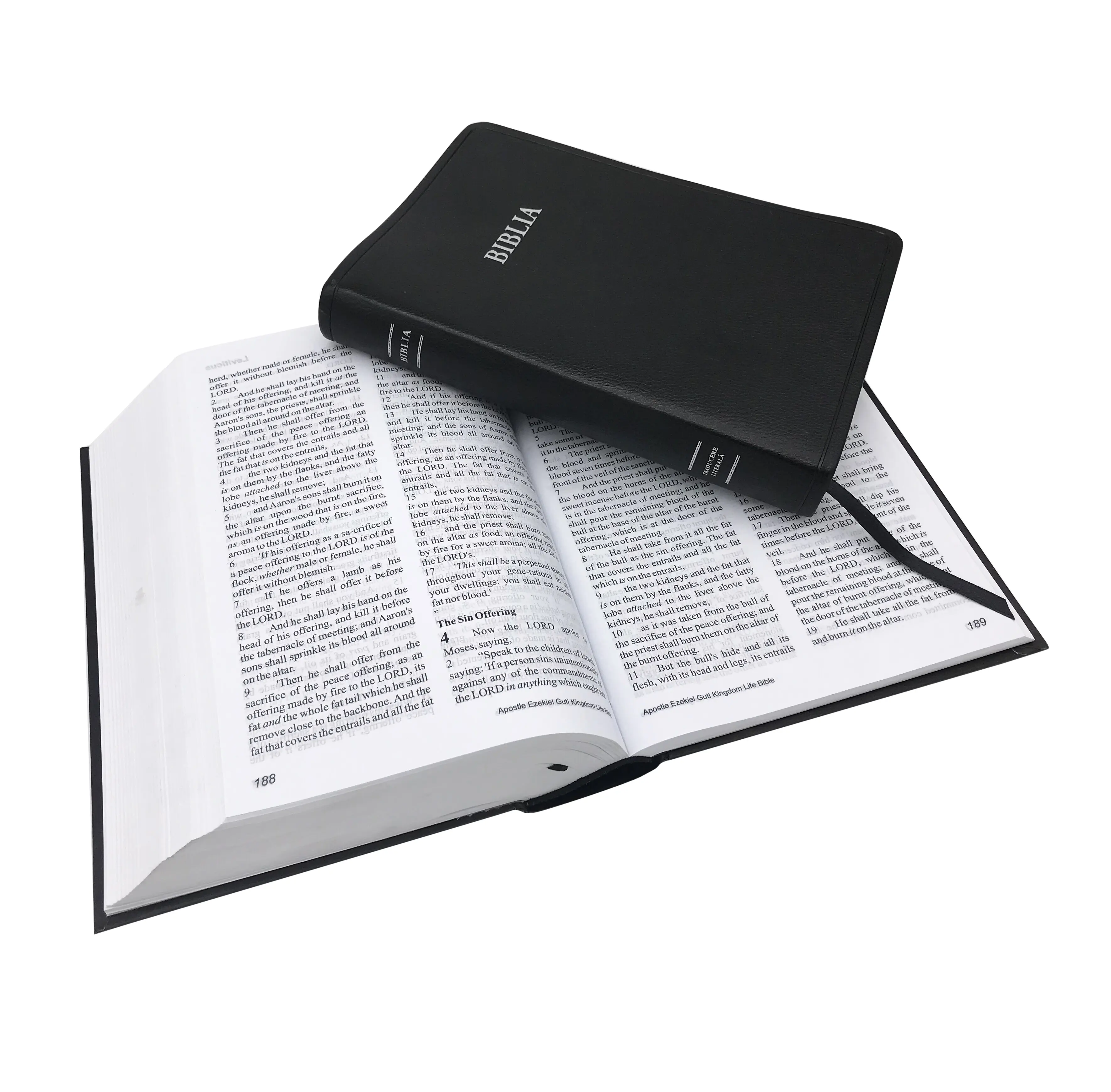 Impresión personalizada en español e inglés, servicio de libro de alta calidad, Impresión de Santa Biblia