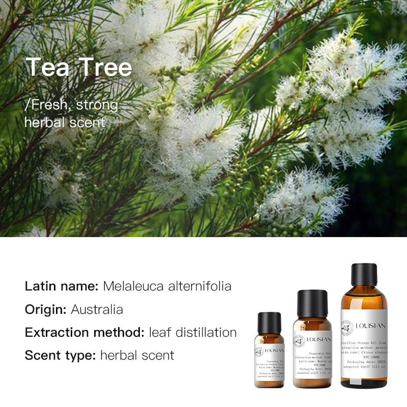 Arbre à thé (Australie) 30ml