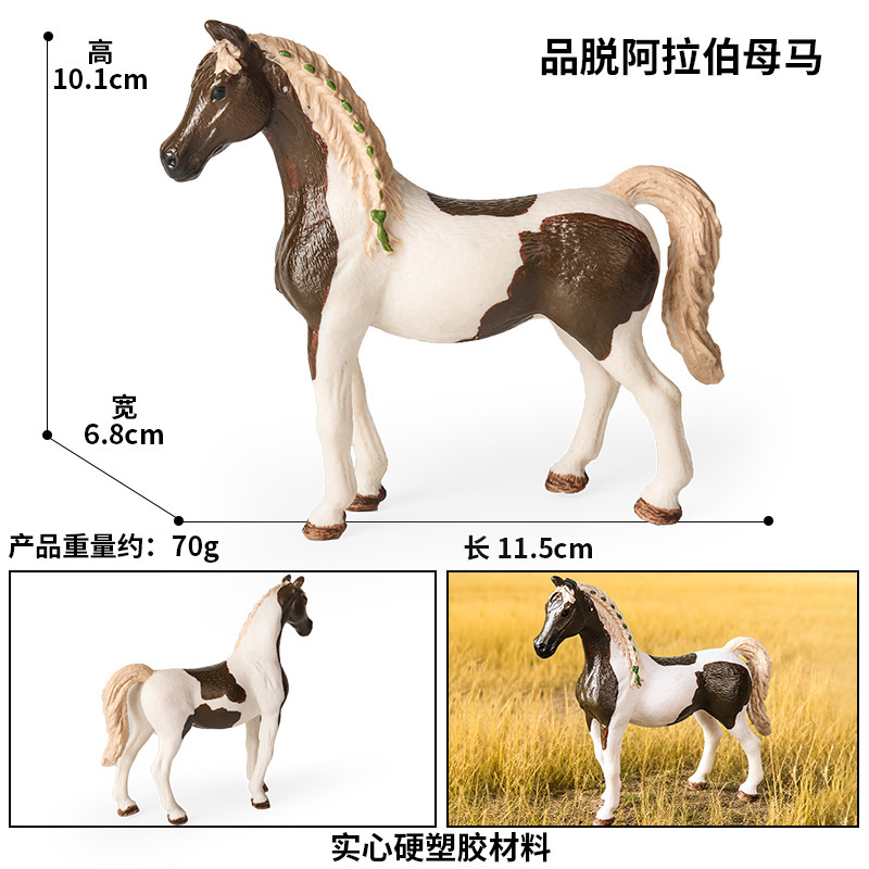 colorato M-2515 Pint Arabian Mare