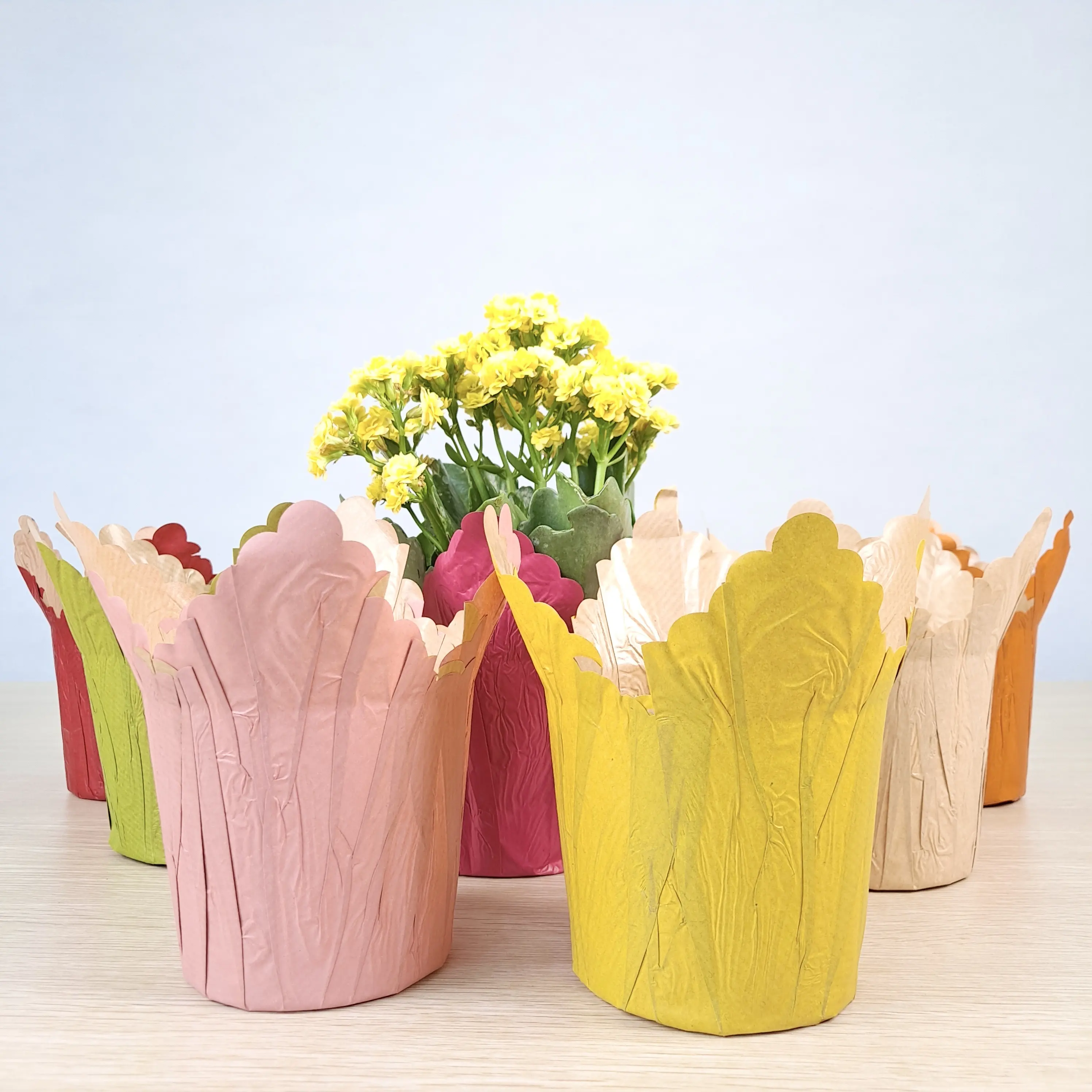 Copertura impermeabile del vaso di carta per il colore dei fiori in vaso delle piante in vaso personalizza