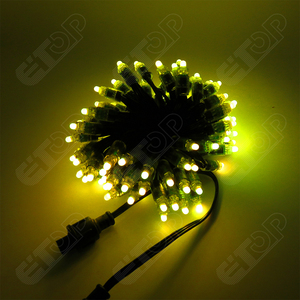 100 карат DC12V адресуемый WS2811 Smart Bullet led pixel ip68 18awg с разъемами xconnect/Ray wu/paul zhang - Product Image 4