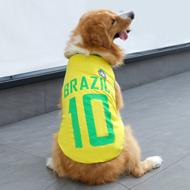Jaune n°10 Brésil
