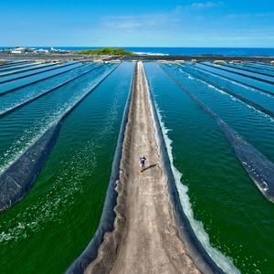 Koi göletler için geomembran <span class=keywords><strong>HDPE</strong></span> su gölet Liner 1mm 1.5mm 2mm 500 mikron 1000 mikron LLDPE Geomembrana balık yetiştiriciliği için