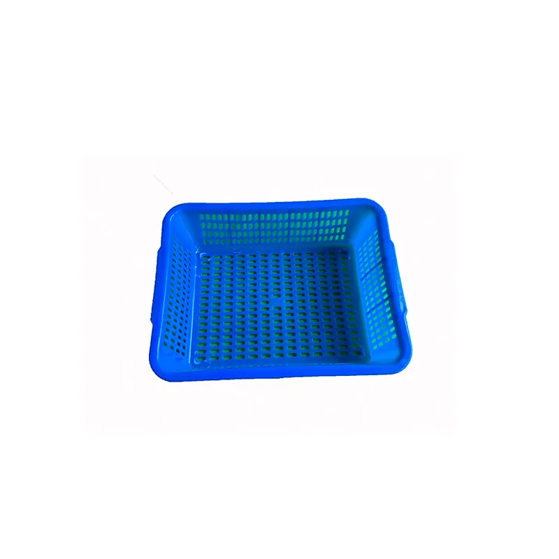 Home Use Vegetable and Fruit Storage Plastic Tray in Sale