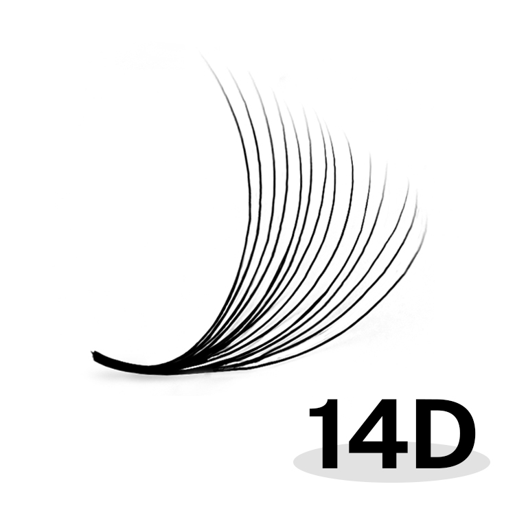 14D des fans de promade de base pointue