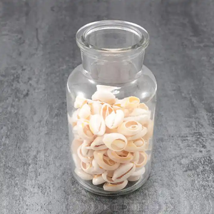 Özel yapılmış doğal cowrie kabukları çeşitli şekillerde ve boyutlarda mücevher tasarımcıları, sanat ve el sanatları için uygun - Product Image 2