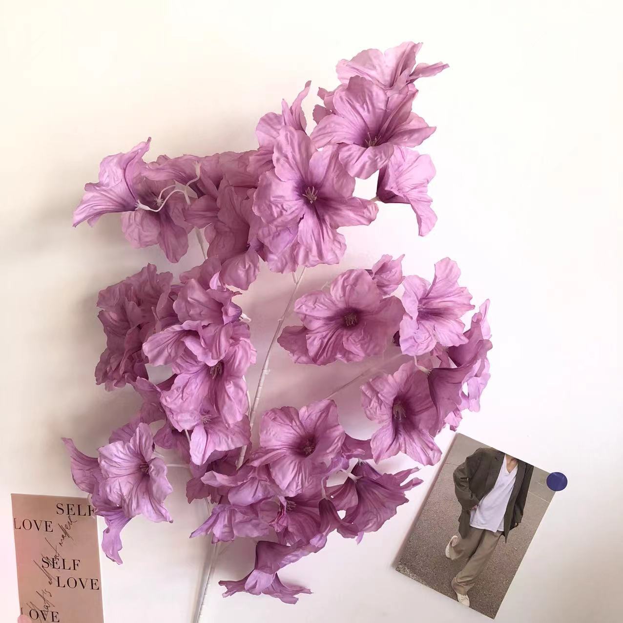 Viola
