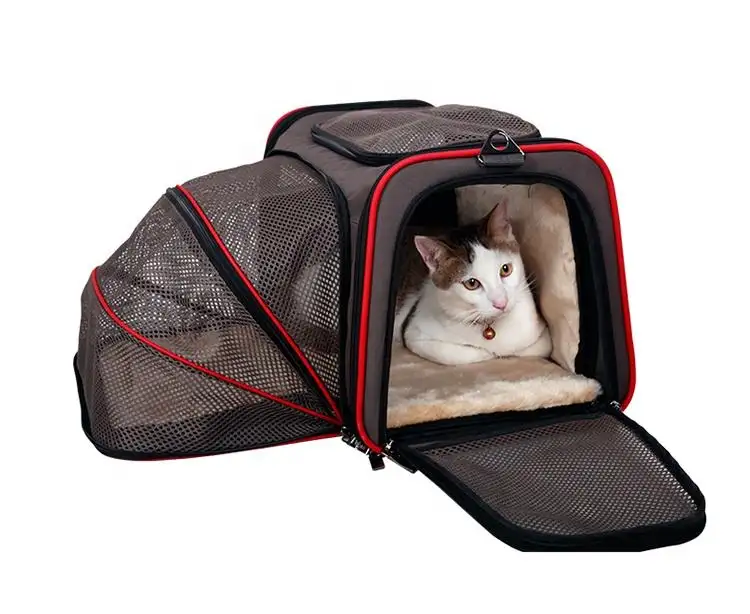 공장 도매 프리미엄 개 고양이 애완 동물 여행 가방 캐리어 투명 애완 동물 캐리어