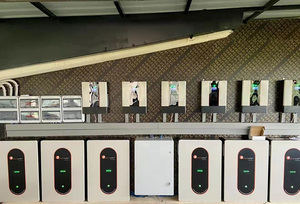 Felicitysolar 3Kw家用太阳能发电机太阳能发电系统，用于灯/风扇和电视 - Product Image 5