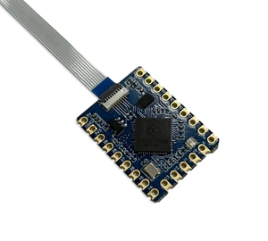 RP2040-Tiny geliştirme devre kartı modülü rparduino sıfır ahududu Pi PICO USB tip C arayüzü 264KB SRAM 2MB flaş C/C + + Arduino için