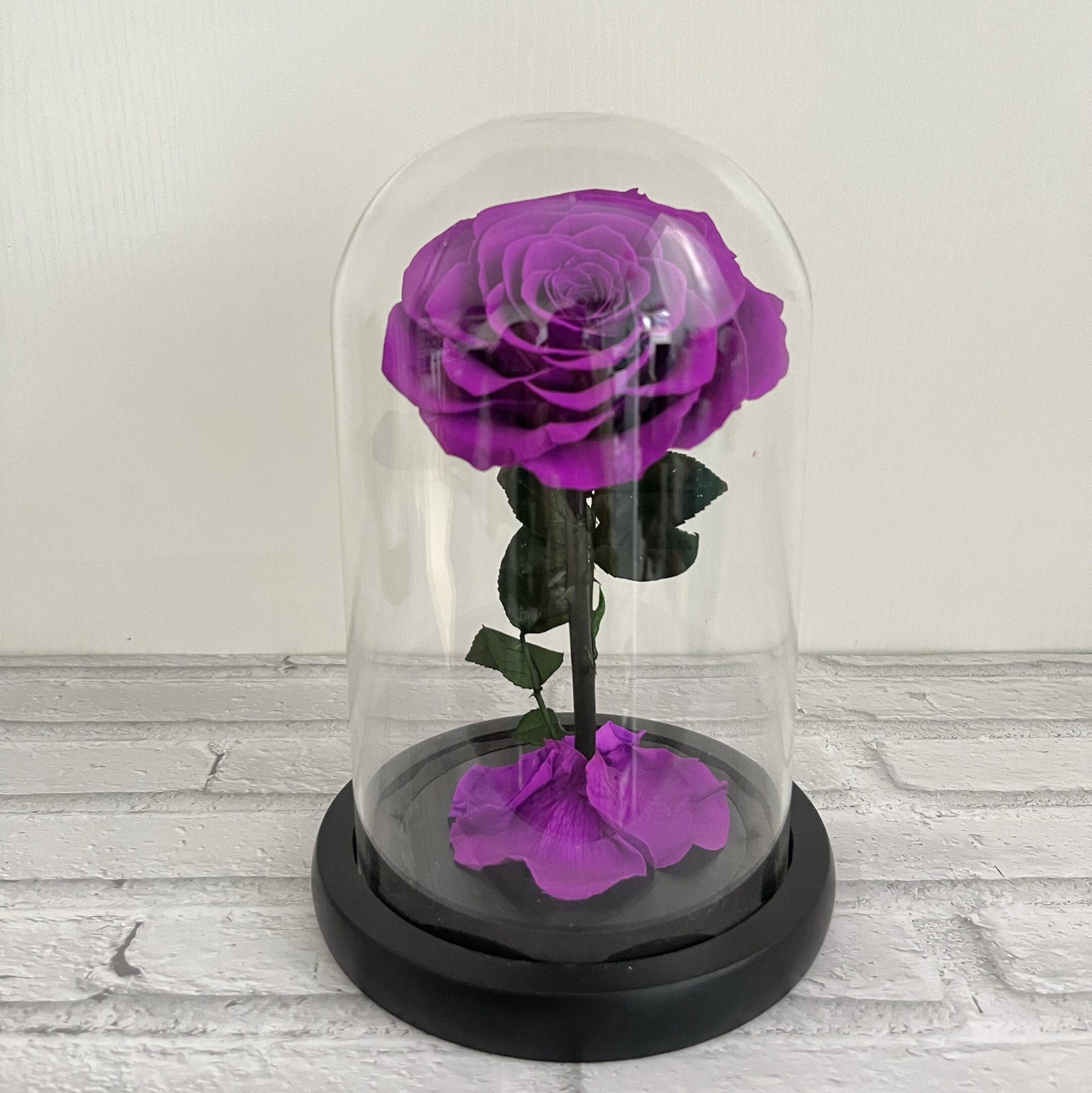 Classique violet et noir sans lampe et boîte-cadeau